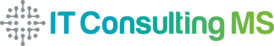 Logo ITConsulting MS